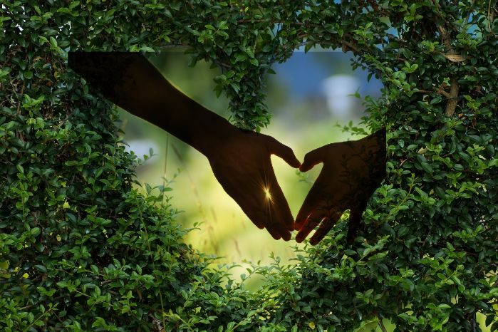 Eine grüne Hecke,  in die ein Herz geschnitten ist. Im Herzen der Hecke sind, von Sonnenlicht umstrahlt, zwei Hände, die ebenfalls ein Herz bilden. Symbolhafte Darstellung des Kontaktes.