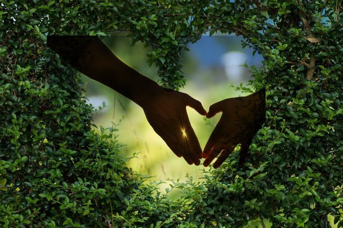 Eine grüne Hecke,  in die ein Herz geschnitten ist. Im Herzen der Hecke sind, von Sonnenlicht umstrahlt, zwei Hände, die ebenfalls ein Herz bilden. Symbolhafte Darstellung des Kontaktes.