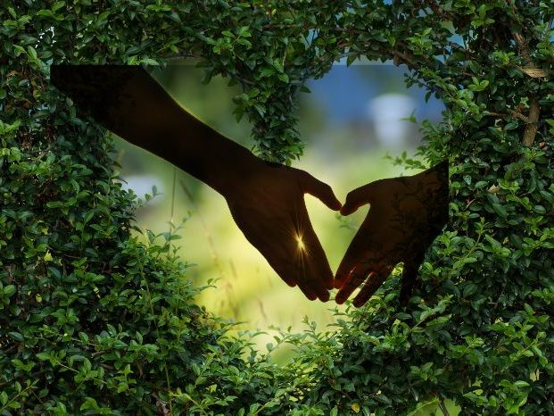 Eine grüne Hecke,  in die ein Herz geschnitten ist. Im Herzen der Hecke sind, von Sonnenlicht umstrahlt, zwei Hände, die ebenfalls ein Herz bilden. Symbolhafte Darstellung des Kontaktes.